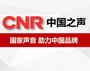 北京广告咨询 城市脉动下的品牌策略与市场洞察